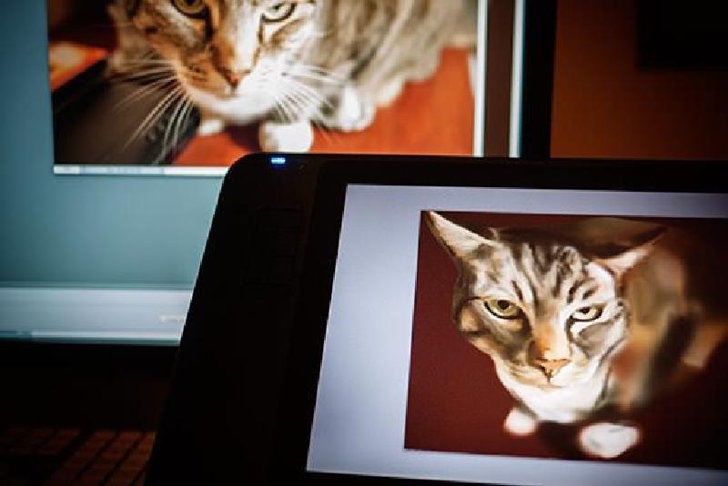 Featured image of post Cats Can Be So Difficult