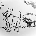 Central Woof