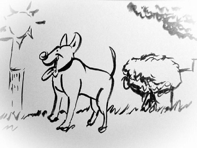 Featured image of post Central Woof