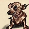 Departed Dachsund