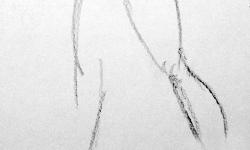 Featured image of post Hooray For Actually Drawing Something